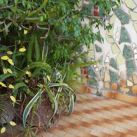 Centro Spaccanapoli Apartman *