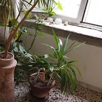 Centro Spaccanapoli Apartmán
