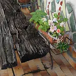 Apartmán Centro Spaccanapoli